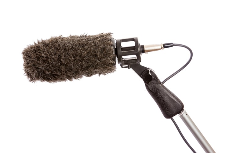 Boom Microphone Windshield